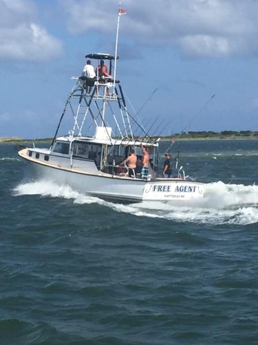 hatteras boats